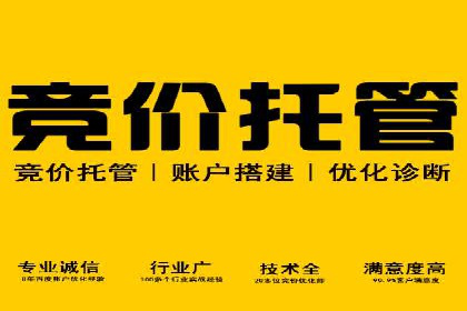 竞价代运营策略调整：一则电商行业的成功故事